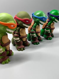 Ninja Turtle Renzos 
