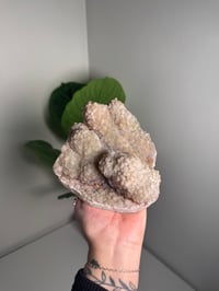 Image 1 of SELF STANDING SPARKLY APOPHYLITE STALACTITES -INDIA- B