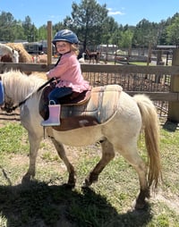 Image 4 of Pumpkin hunt with your favorite dogs, hay ride, pony rides, bounce houses, MORE!