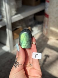 Image 25 of CHOOSE YOUR OWN MINI LABRADORITE FREEFORM -MADAGASCAR-