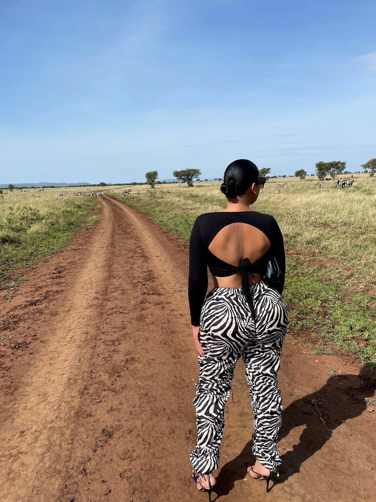 Image of ABSTRACT ZEBRA V-CUT SLOUCHY PANTS 