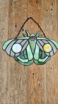 Image 3 of Moth green