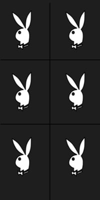 Playboy Bunny