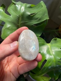 Image 2 of Moonstone Palm Crystal (1)