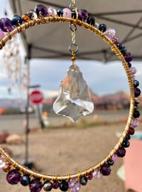 Image 4 of Molly - Orbit