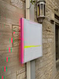 Image 5 of ‘Pinky’