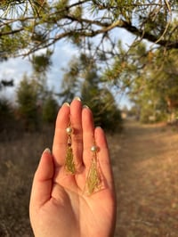 Image 7 of Holiday Pines