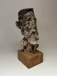 Image 3 of “Rhett”