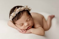 Image 3 of Cora halo