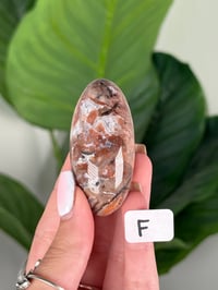 Image 6 of MEDIUM SANGRIA LACE AGATE SHIVAS