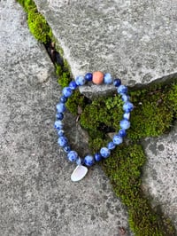 Image 2 of Padre Island National Seashore BraceletsBaby Clam Shell/Sodalite