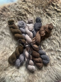 Image 1 of Mini Bundle #2 - 100G Hand Dyed Kent Romney Mini Skeins