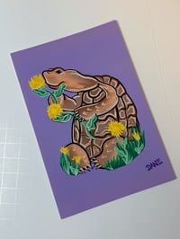 Franklin’s Flower Garden - mini print