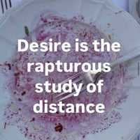 Image 2 of Desire is the rapturous study of distance