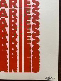 Image 8 of 'Healthy Boundaries' screenprints