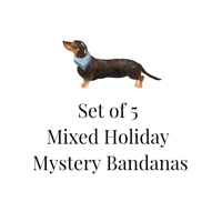 Holiday Mystery Set of 5 Over-the-Collar Dog or Cat Bandanas 