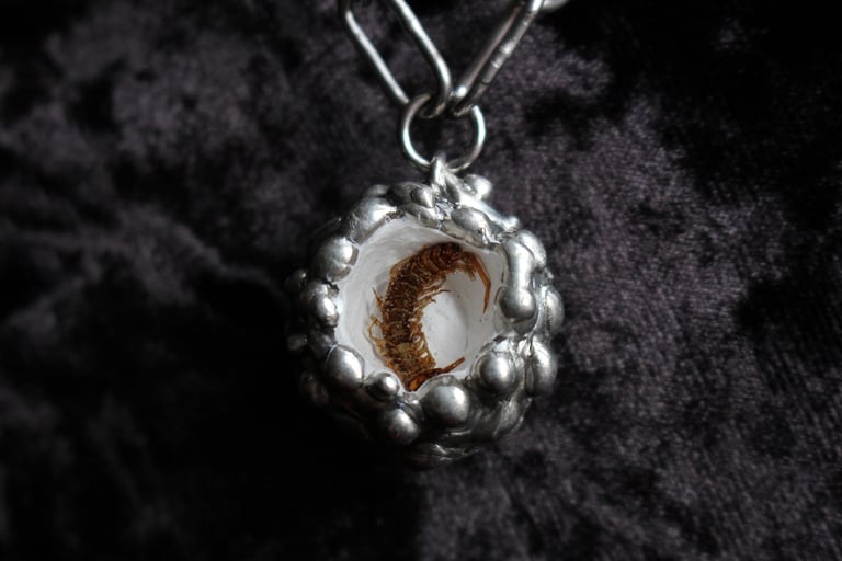 dead good centipede necklace Image 10