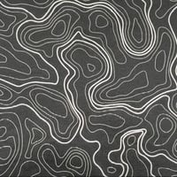 Image 1 of Abstract - Black & White Topo