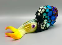 Image 1 of ONE OFF AMMONAITO TYPE A