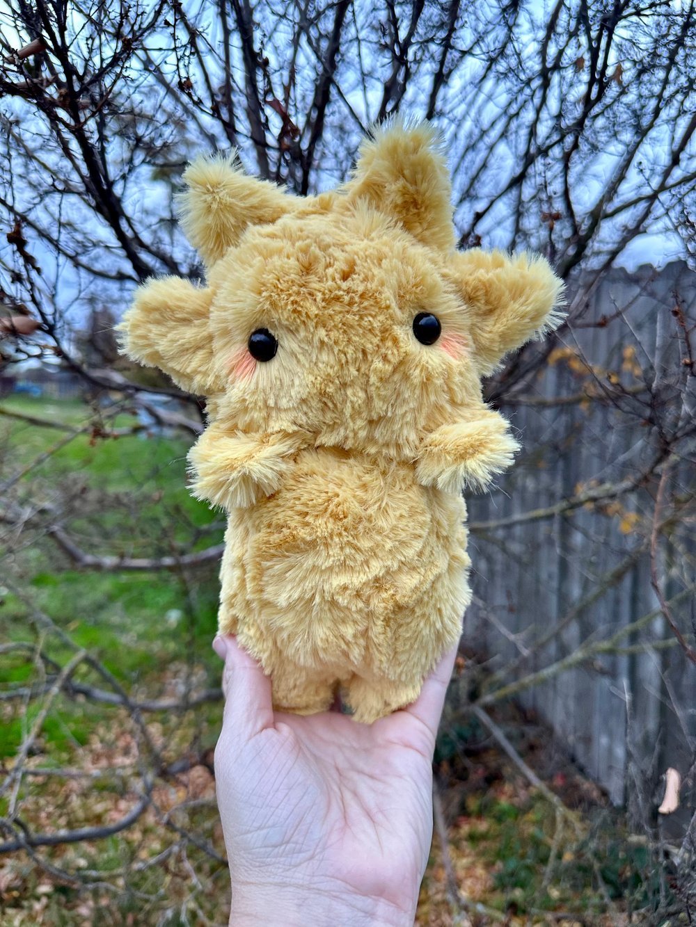 Image of Sun baby preorder