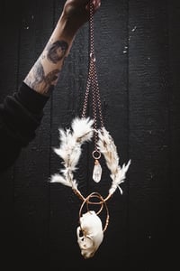 Image 2 of Cat Skull Hanger