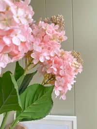 Image 4 of Luxury Hydrangea Bouquets ( 3 options )