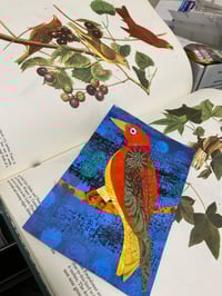 Image 1 of Summer Tanager