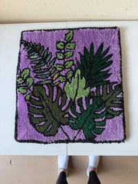 Tropical plants 