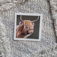 Image 4 of Mini Animal PRINT