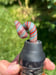 Image of Loopy MouthPieces 