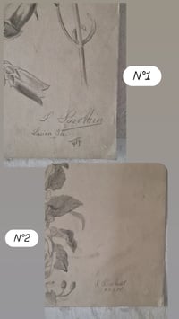 Image 5 of Les grands dessins (2 dispos)