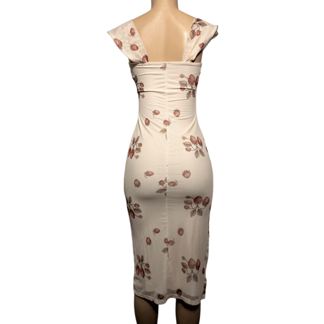 Strawberry Meadow Dress 