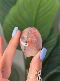 Image 2 of TUMBLED AGATE #23 -MALAWI-