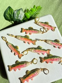 Image 2 of Rainbow Trouts