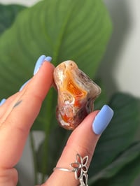 Image 2 of TUMBLED AGATE #19 -MALAWI-