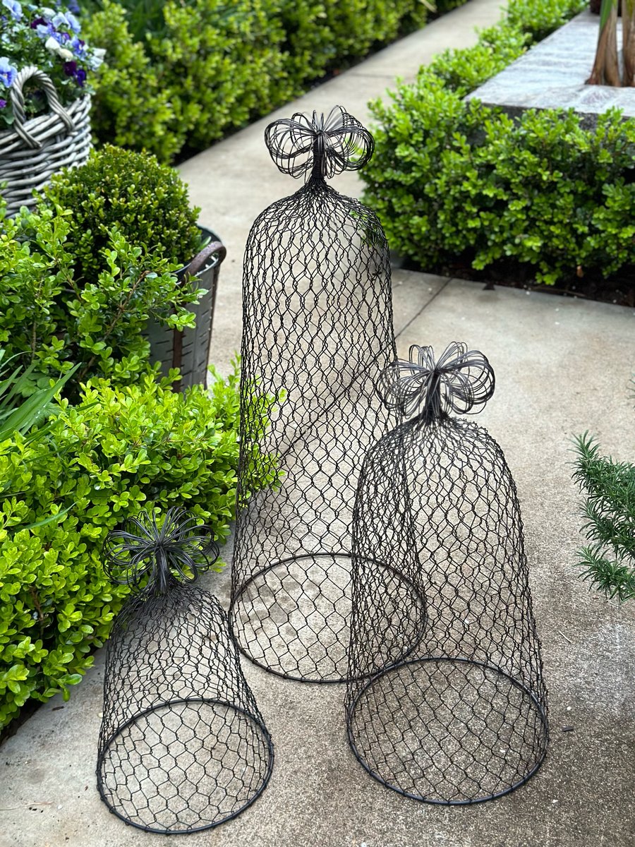 Image of Decorative Wire Cloche