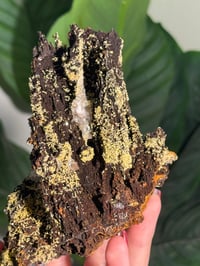 Image 7 of SELF STANDING ONE OF A KIND MIMETITE -MEXICO-
