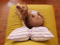 Image 2 of coussin noeud lila
