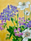 Anemone, Geranium, and Phlox 