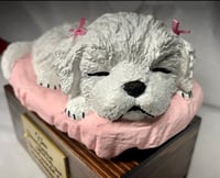 Image 5 of Custom Engraved White Maltipoo Maltese Pet Urn To Your Dog's Photo