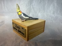 Image 4 of Custom Engraved Cockatiel Bird Mini Keepsake Urn Handpainted To Your Photo Pet Portrait