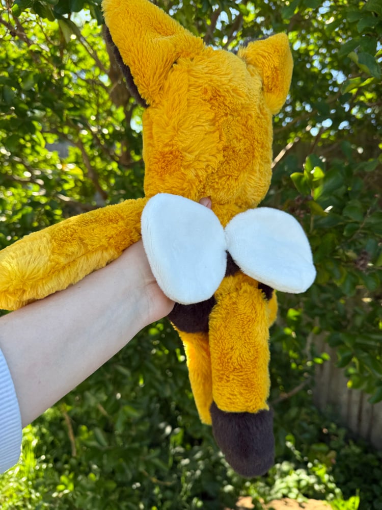 Image of Bee fox