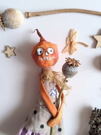 Image 1 of Pumpkin Poppy