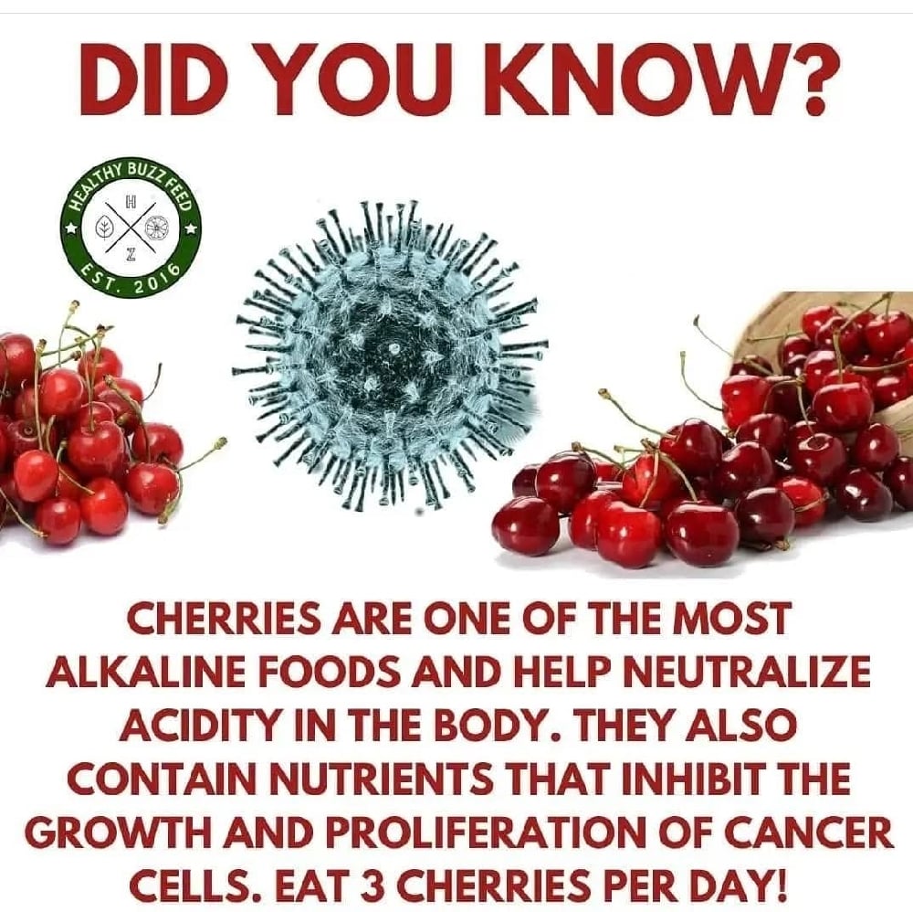 Wild LIME-AIDE HIGH C Barbados Cherry Powder/Frozen Juice-Diabetes-Immunity-Mood-Circulation-Heart