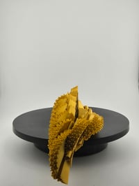 Image 3 of Spike ball  85 mm wide