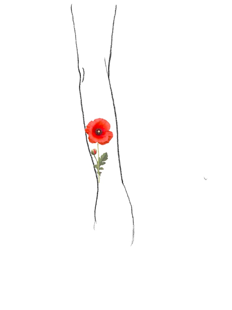 Image of Poppy Tattoo #4