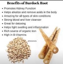 Image of All Natural Sea Moss & Lions Mane Anti Anxiety Supplement