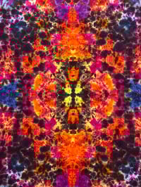 Image 3 of 35"x50" Tapestry