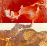 Rose-Cran Turmeric Bundle 