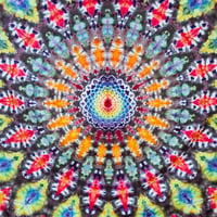 Image 2 of calliope woman
